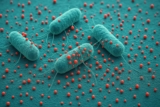 Estos objetos parecen inofensivos pero están llenos de bacterias.