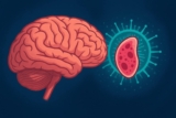PRECAUCIÓN: Este parásito puede estar moviendo su cerebro