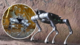Unitee RoboDog Impress: Velocidad de miedo y fuerza brutal (video)