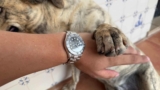 Compré un Rolex de China. ¡Es impresionante!
