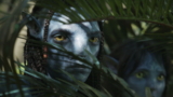 Si eres fanático de las películas de Avatar, no te gustará lo que dijo James Cameron