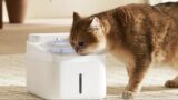 Xiaomi: nuevo accesorio para animales con batería de 3 meses que purifica solo el agua