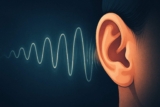 El misterio del tinnitus en el oído y lo que la ciencia ha encontrado